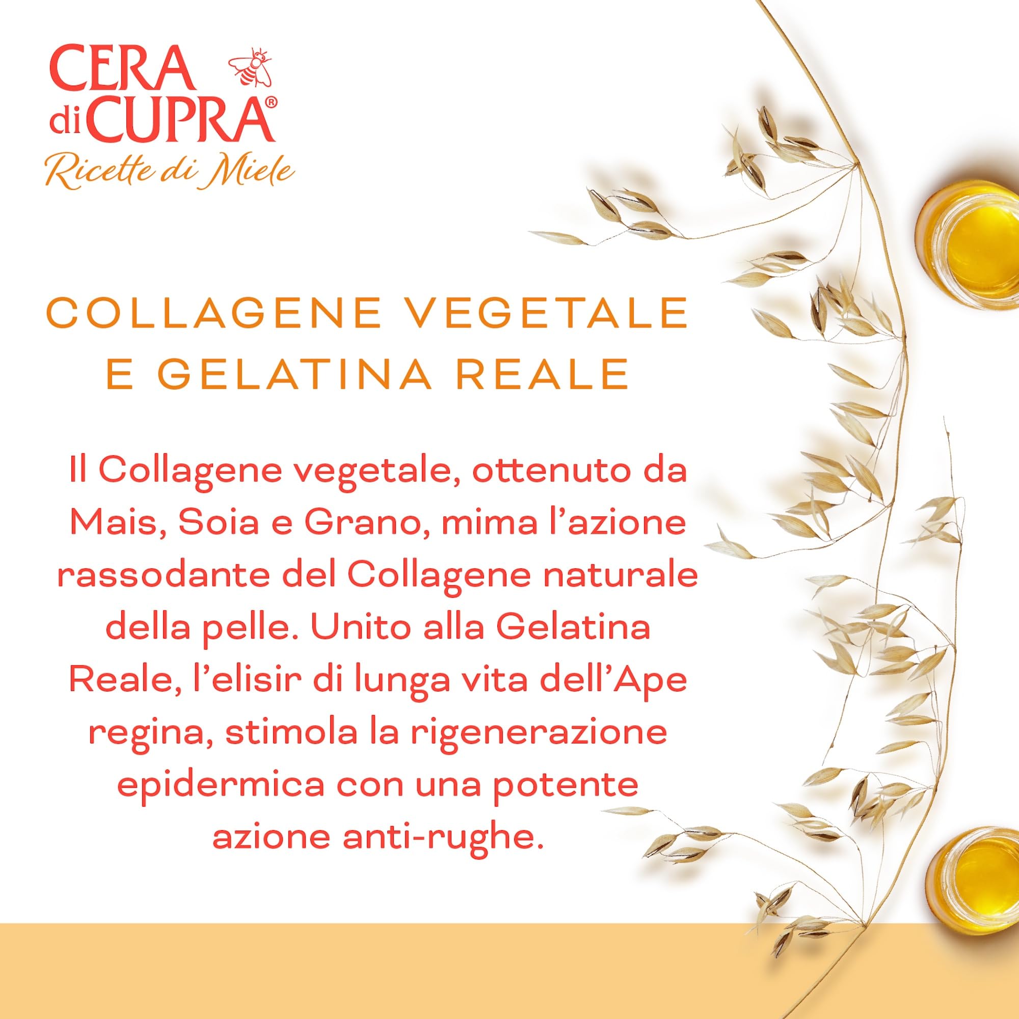 cera-di-cupra-lifting-serum-collagene-e-pappa-reale-30-ml image 4